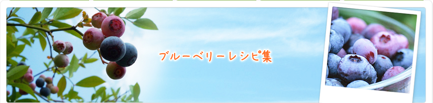 ブルーベリーレシピ集