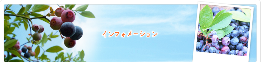 ご予約・お問い合わせ